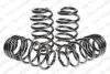 Комплект ходової частини, пружини LESJOFORS 4595062 (фото 1)