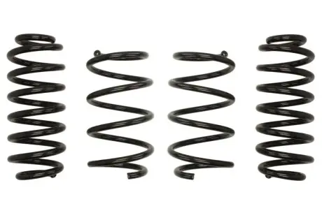 ZESTAW SPRÊ¯YN, ZAWIESZENIE VW EIBACH E10850440222