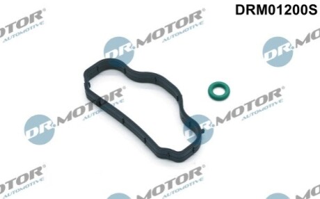 Прокладка сепаратора мастила DR MOTOR DRM01200S