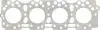 Прокладка головки циліндрів VICTOR REINZ 614189500 (фото 1)