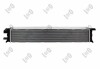 INTERCOOLER AUDI S4 S5 07- Abakus 0030170059 (фото 2)