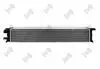 INTERCOOLER AUDI S4 S5 07- Abakus 0030170059 (фото 2)