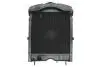 Радиатор двигателя, главный THERMOTEC D7AG098TT (фото 1)