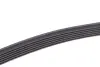 Комплект ременя генератора Citroen C4 04-13/Peugeot 307 1.6 HDi 03-08 (6PK1090) INA 529040310 (фото 3)