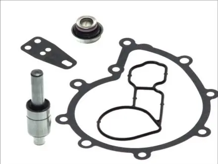 Фото 1 - ремкомплекты водяной помпы DT 131121 Ремкомплекты водяной помпы DT 131121 (фото 1)