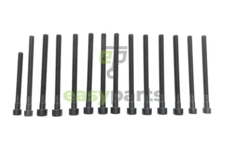 Болти головки (к-кт 14шт.) BMW X3 E83/X5 E70/130i/E81/330i E92 N52 3.0 04- N51-N53 FEBI BILSTEIN 178284