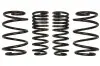 Комплект занижених пружин EIBACH E1530140 (фото 1)