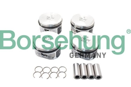 Piston complete(4PC/SET) BORSEHUNG B18669