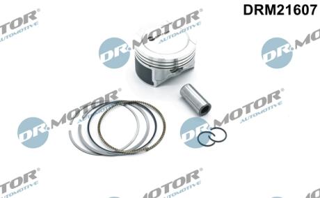 TЭOK VW 1,6 81,01 STD DR MOTOR DRM21607