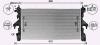 CHLODNICA JUMPER 11- AVA COOLING FT2481 (фото 2)
