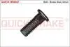 Bolt, brake caliper 11675
