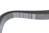 Ремінь генератора Land Rover Range Rover Sport 05-13/Discovery 2.7D 04- DAYCO 8PK2092 (фото 4)
