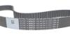 Комплект ГРМ + помпа Skoda Fabia/VW Passat/Golf 1.9TDI 00- BOSCH 1987946978 (фото 12)