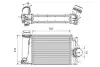 Intercooler NISSAN Valeo 818317 (фото 1)