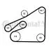 Фото 2 - zestaw paska pk /c Contitech 6PK1840K1 ZESTAW PASKA PK /C Contitech 6PK1840K1 (фото 2)