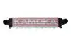 Charge Air Cooler KAMOKA 7750055 (фото 1)