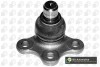 BALL JOINT LOWER SJ1402