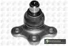 BALL JOINT LOWER SJ1402