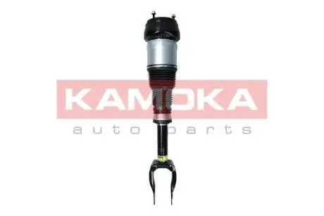 Air Spring Strut KAMOKA 2070001
