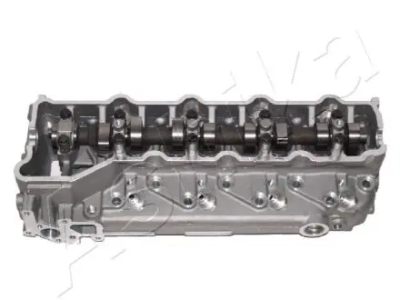 Головка циліндра ASHIKA MI025S