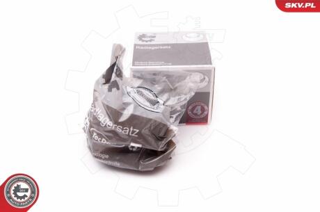 PIASTA PRZOD L/P SKV GERMANY 29SKV241