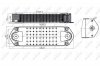 Радіатор мастила NRF 31198 (фото 5)