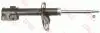 Shock Absorber TRW JGM1046S (фото 1)