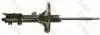 Shock Absorber TRW JGM1169SL (фото 1)
