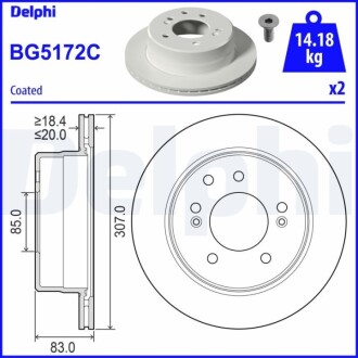 TARCZA HAM.TYL Delphi BG5172C