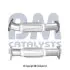 Випускна труба BM CATALYSTS BM50642 (фото 2)