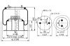 Пневмоподушка PHOENIX 1DF20C4 (фото 2)
