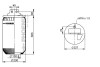 Пневмоподушка PHOENIX 1DF20G2NP (фото 4)