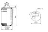 Пневмоподушка PHOENIX 1DF20G1NP (фото 4)