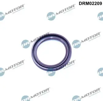 Сальники валу DR MOTOR DRM02209