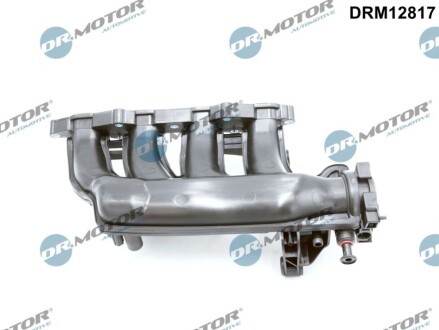 Колектор впускний DR MOTOR DRM12817