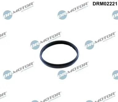 Ущiльнююче кiльце DR MOTOR DRM02221