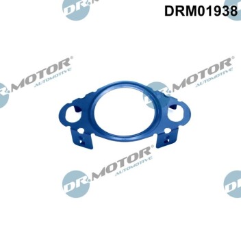 Прокладка клапану рециркуляцiї DR MOTOR DRM01938