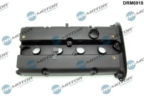 Автозапчасть DR MOTOR DRM6918