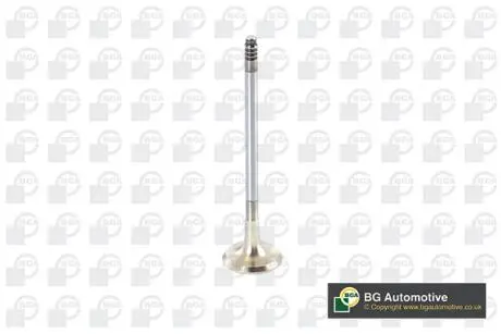 ENGINE VALVE BGA V090101