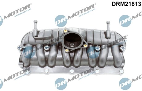 Автозапчасть DR MOTOR DRM21813