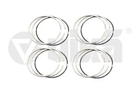 Piston rings Vika 11981542801