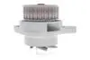 Комплект ГРМ + помпа VW Caddy/Golf/Seat Ibiza/Skoda Octavia 1.6 92-04 (19x137z) BOSCH 1987946993 (фото 3)