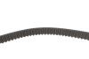 Комплект ГРМ + помпа Renault Clio/Kangoo/Megane/Scenic/Dacia Duster/Logan 1.5dCi 05- (27x123z) BOSCH 1987946983 (фото 10)