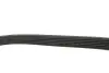 Комплект ременя генератора VW Caddy III 1.9 TDI/2.0 SDI 04-10 (6PK 1050) INA 529046910 (фото 5)