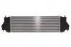 Радіатор інтеркулера Suzuki Grand Vitara 1.9D 05-15 Valeo 818662 (фото 4)