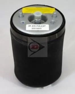 Автозапчасть Dunlop DAS10029