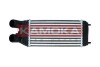 INTERCOOLER KAMOKA 7750064 (фото 1)