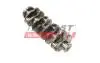 Crankshaft FAST FT51707 (фото 1)