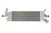 Інтеркулер THERMOTEC DAC022TT (фото 1)