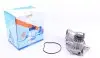 Помпа води BMW 5/6/7/X5 535i/540i/550i/650i/740i,Li/750i,Li/4.8i xDrive 05-10 (R/B) (8 лоп.) GRAF PA1058 (фото 1)